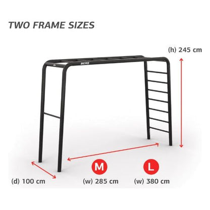 BERG PlayBase Medium TT Metal Climbing Frame: Nest Swing